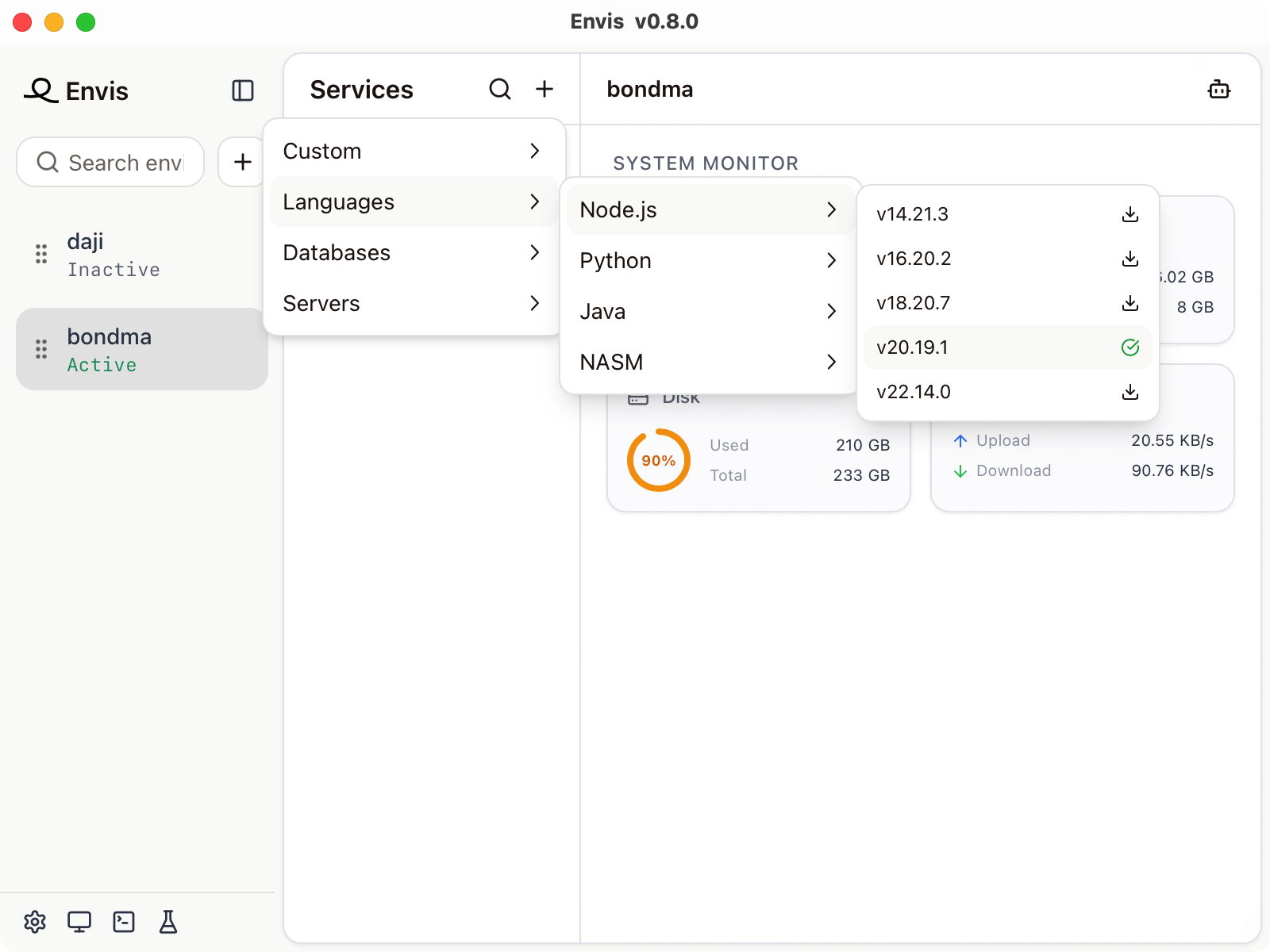 Selecting a Node.js service version in Envis